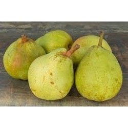 POIRES GUYOT