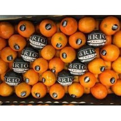 CLEMENTINES BRIO