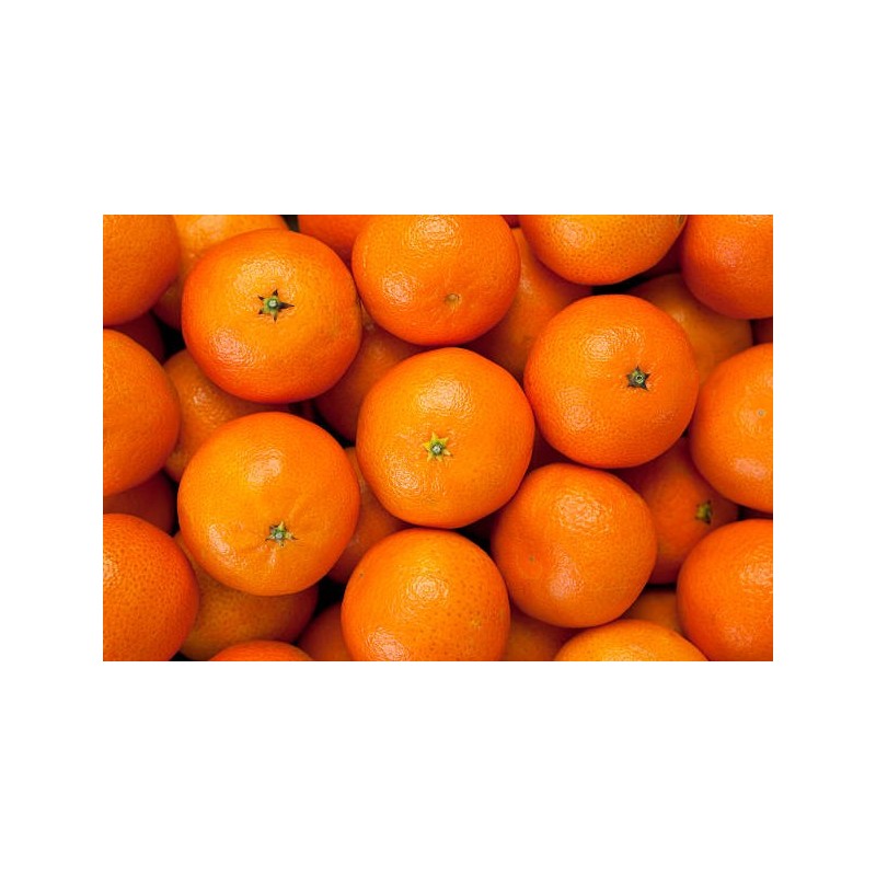 CLEMENTINES PETIT CALIBRE