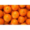 CLEMENTINES PETIT CALIBRE