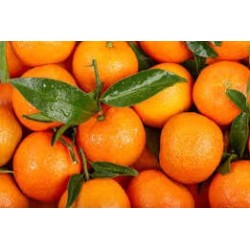 MANDARINE ORRI