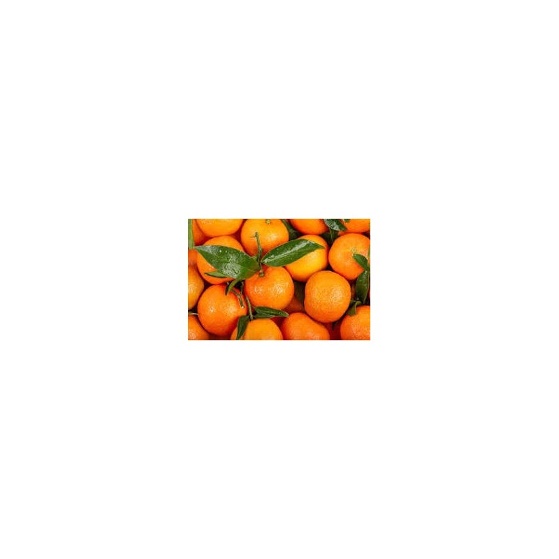 MANDARINE ORRI