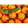 MANDARINE ORRI