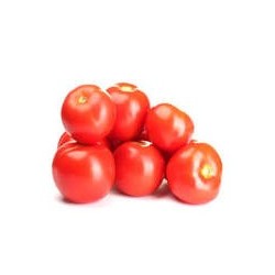 TOMATES  ROMA