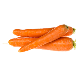 CAROTTES