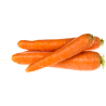 CAROTTES