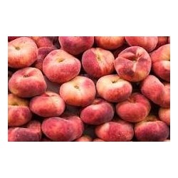 PECHES PLATES