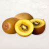 KIWIS GOLD