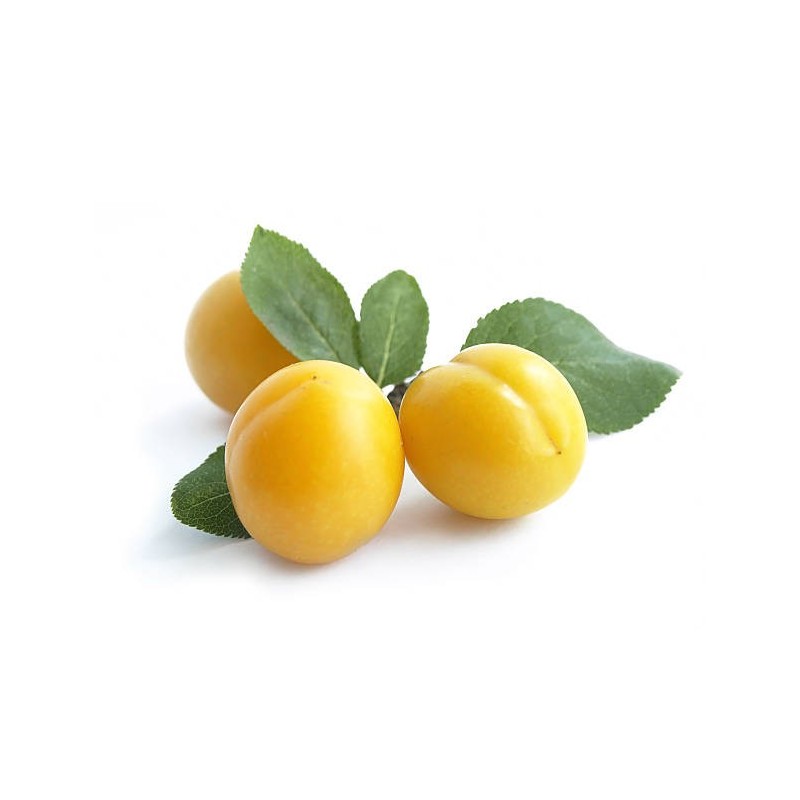 PRUNES MIRTABELLES