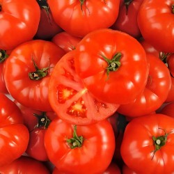 TOMATES A FARCIR