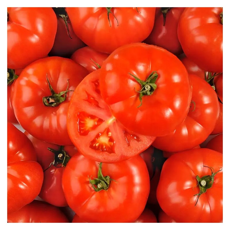TOMATES A FARCIR