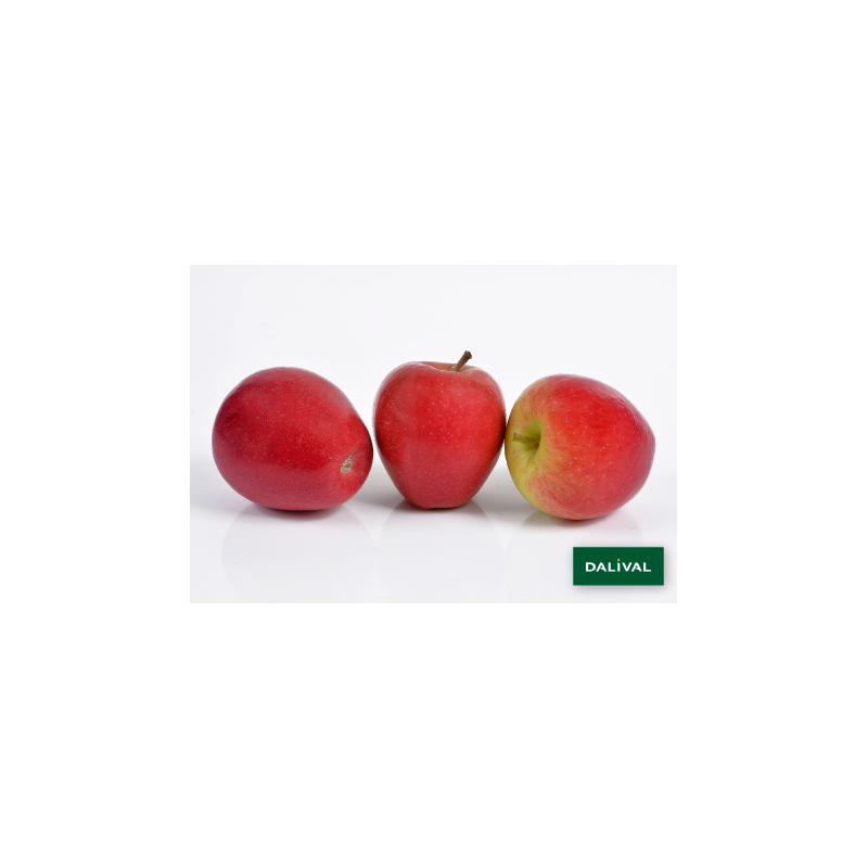 POMMES JOYA