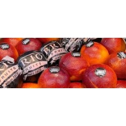 ORANGES SANGUINE BRIO