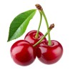 CERISES GROS CALIBRE