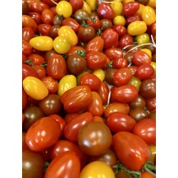 TOMATE CERISE MULTICOLORE...