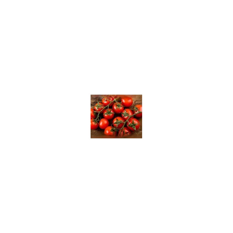TOMATE CERISES GRAPPES 500 g