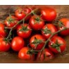 TOMATE CERISES GRAPPES 500 g