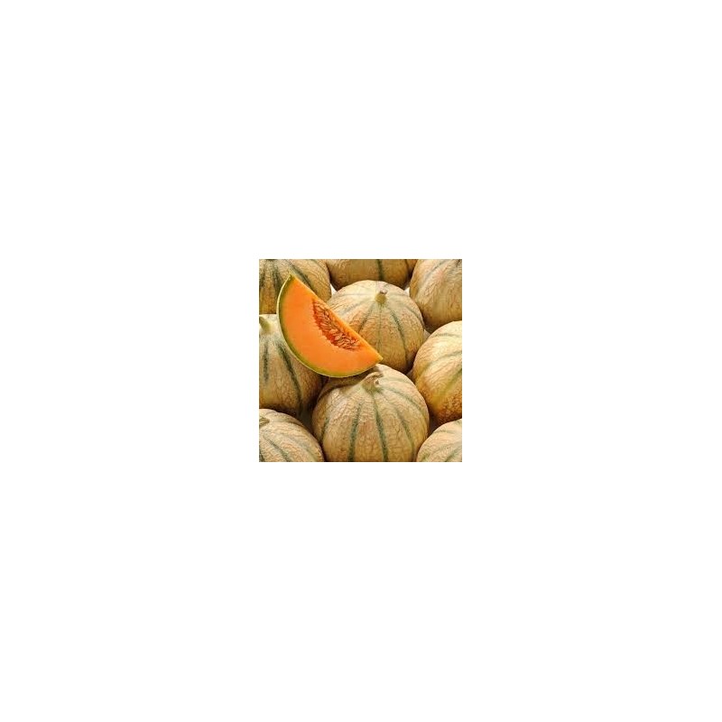MELONS FRANCE
