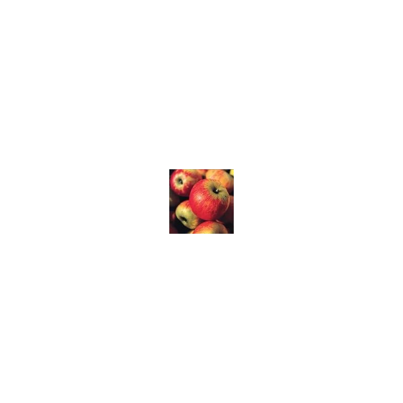 POMMES REINE DES REINETTE