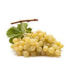 RAISIN DE SICILE
