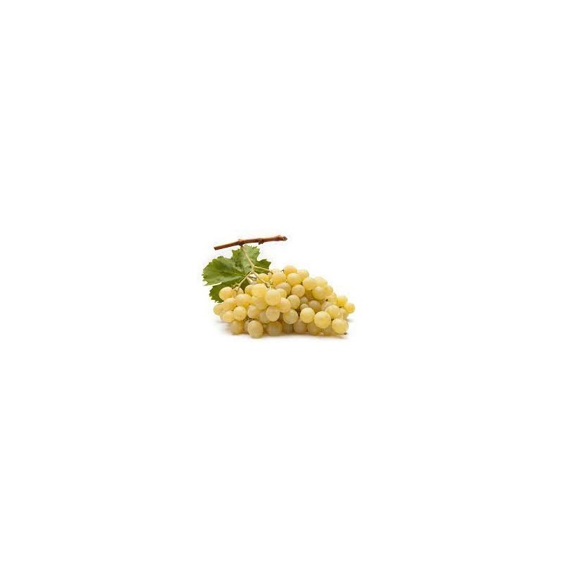 RAISIN DE SICILE