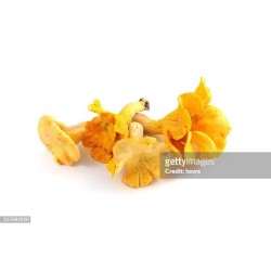 GIROLLES