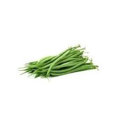 HARICOTS VERTS