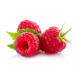 FRAMBOISES 125 g