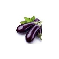 AUBERGINES