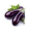 AUBERGINES