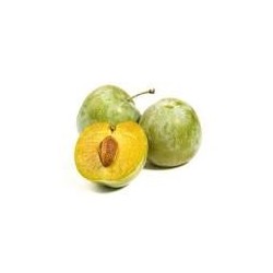 PRUNES REINE CLAUDE