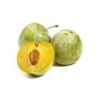 PRUNES REINE CLAUDE
